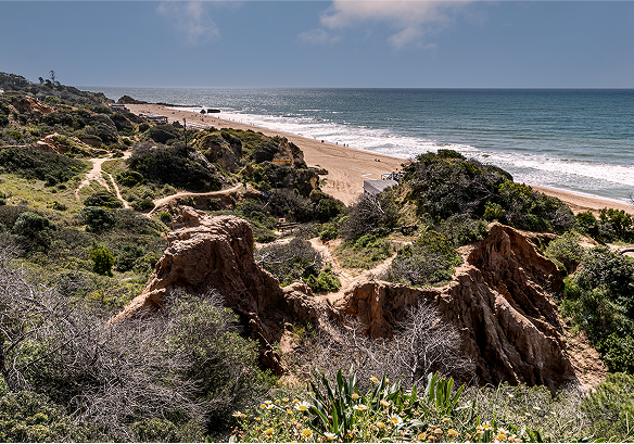 Our mission - From vision through reality - beach dunes with plants